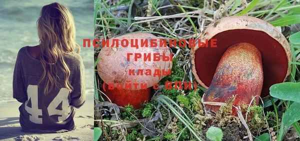 крисы Россошь