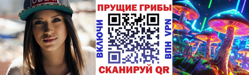 где можно купить   Киржач  Галлюциногенные грибы прущие грибы 